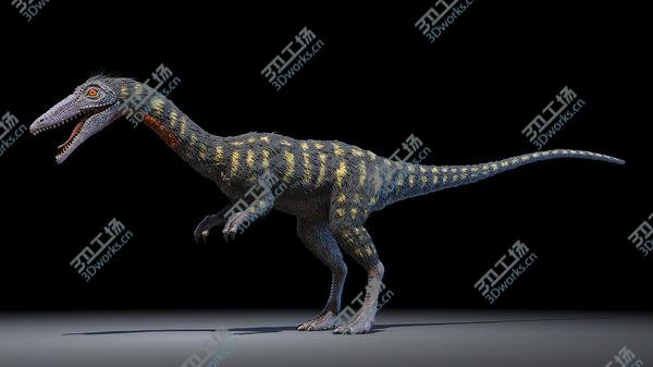 images/goods_img/20210312/3D model Coelophysis/4.jpg